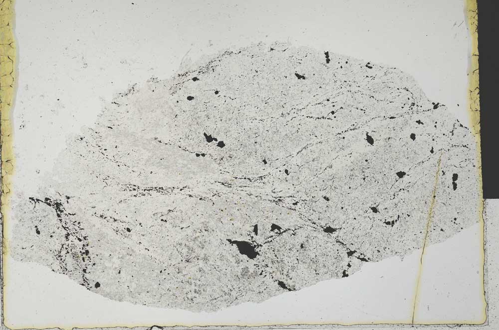 Plane Polarized, S29230