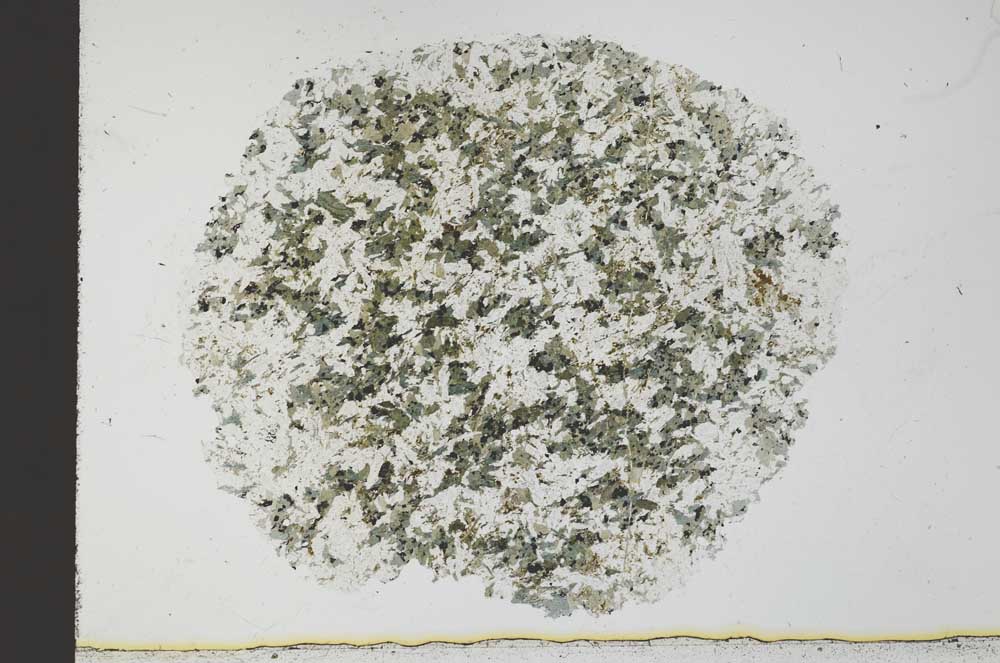 Plane Polarized, S31049