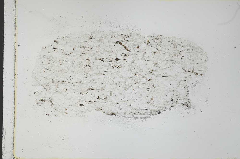 Plane Polarized, S31051