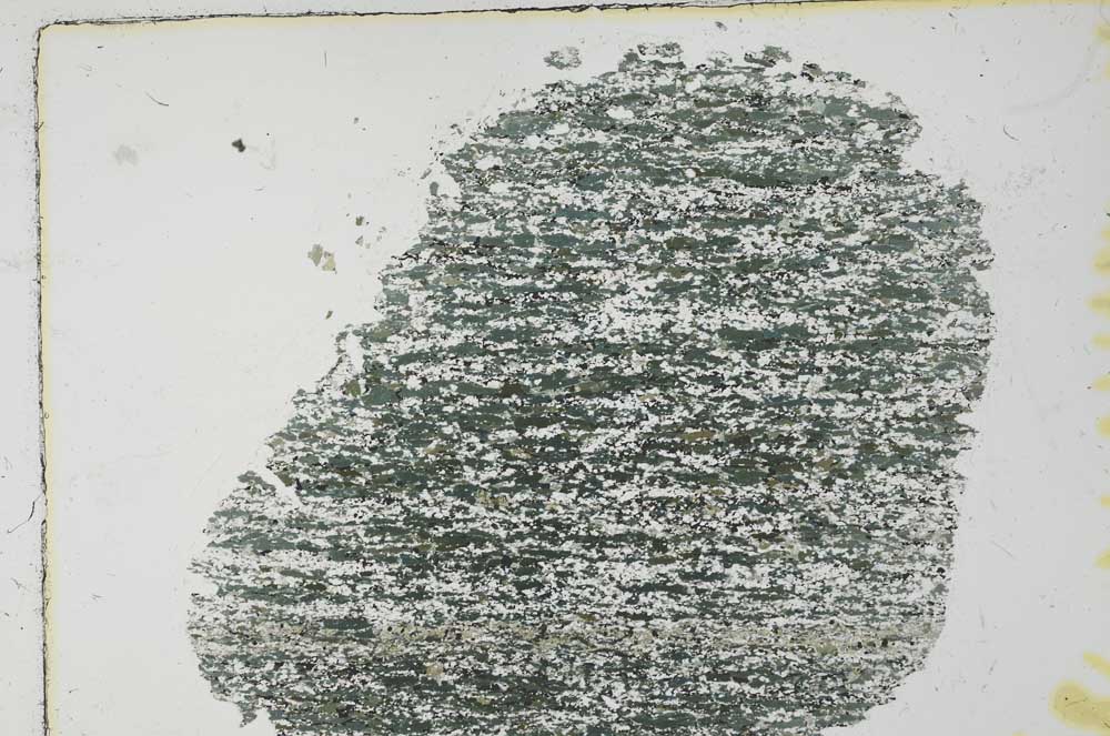 Plane Polarized, S31054