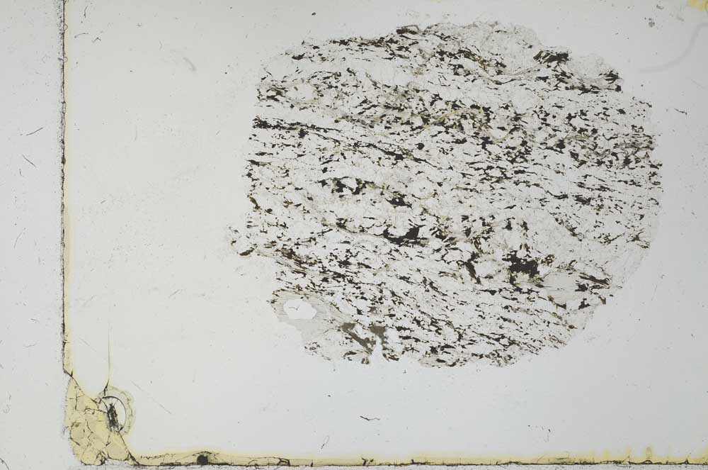 Plane Polarized, S31055