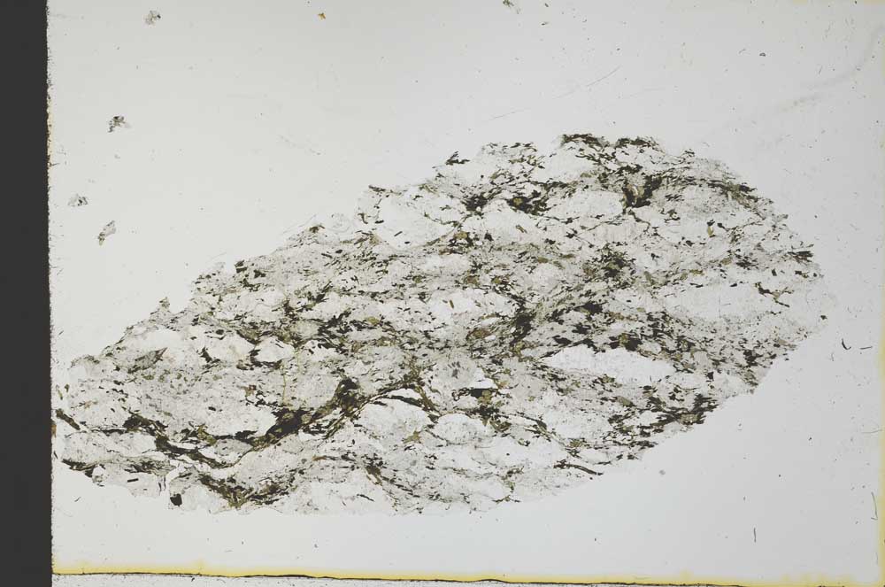 Plane Polarized, S31057