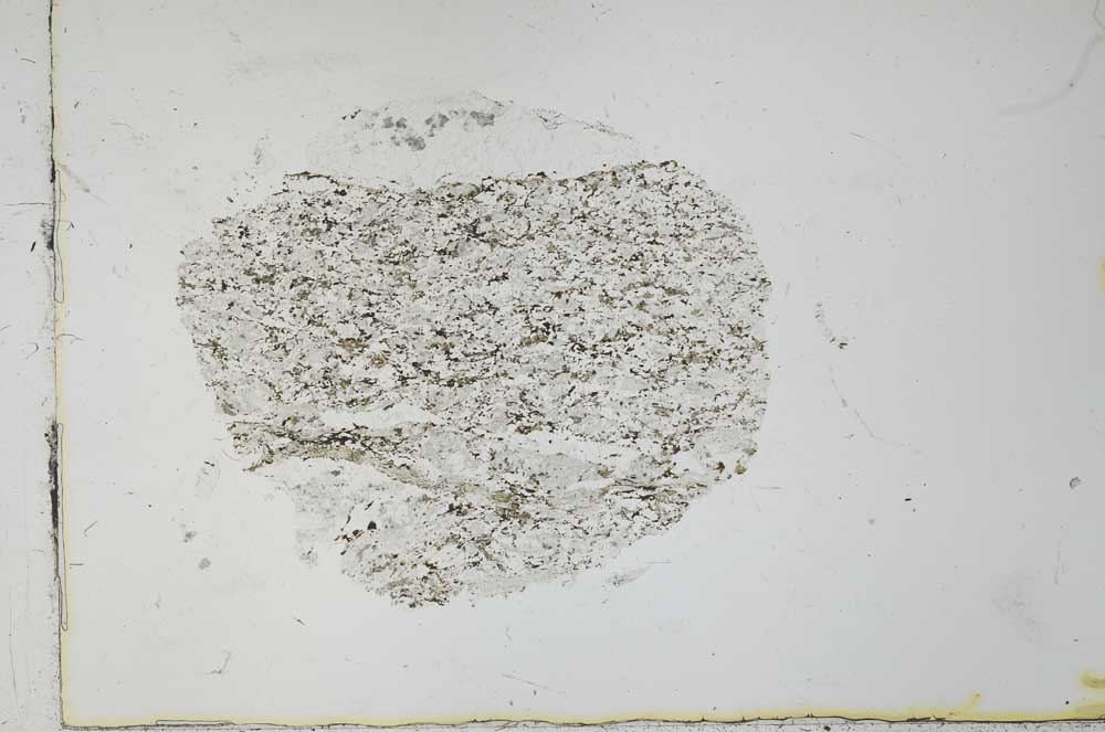 Plane Polarized, S31059