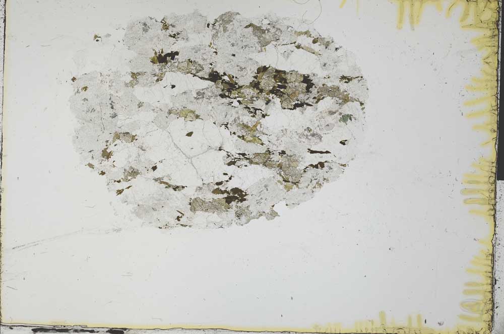 Plane Polarized, S31062