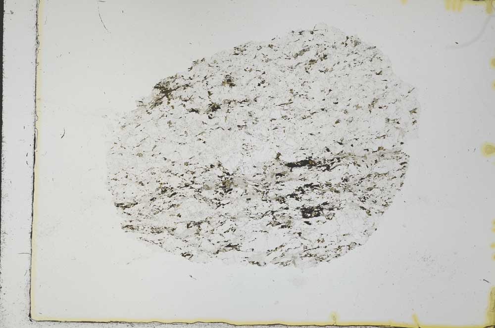 Plane Polarized, S31063