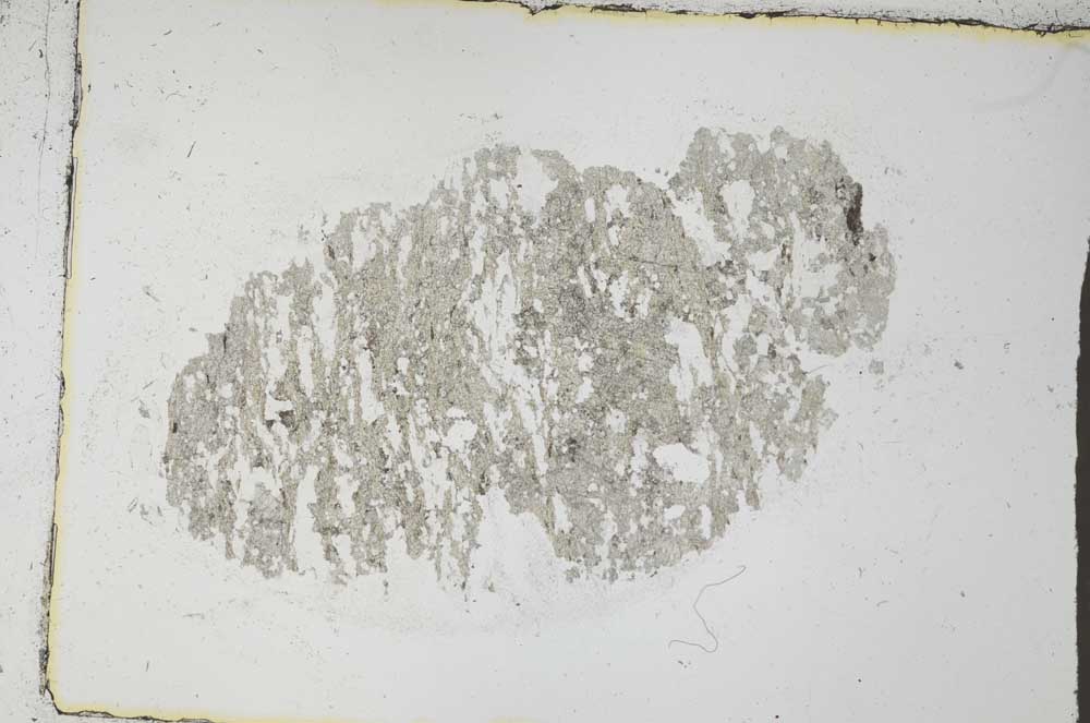 Plane Polarized, S31064