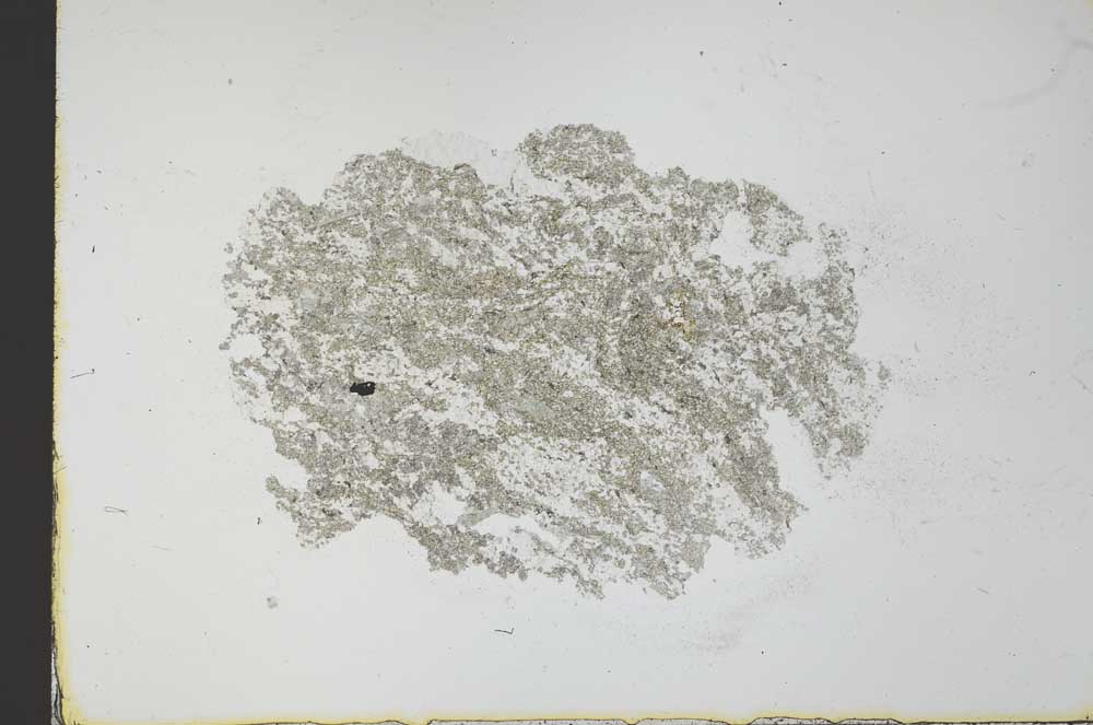 Plane Polarized, S31065