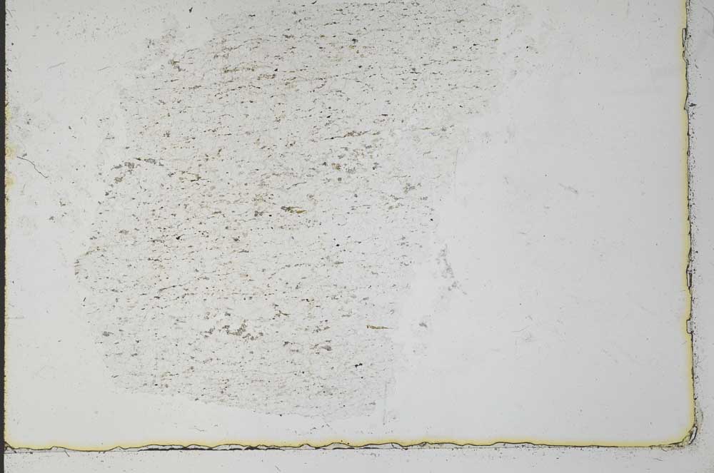 Plane Polarized, S31067