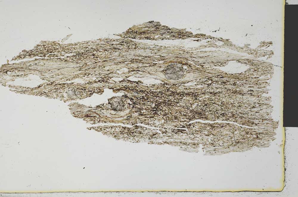 Plane Polarized, S31068