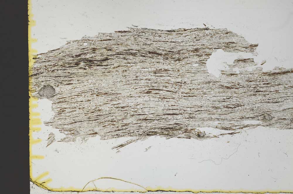 Plane Polarized, S31069