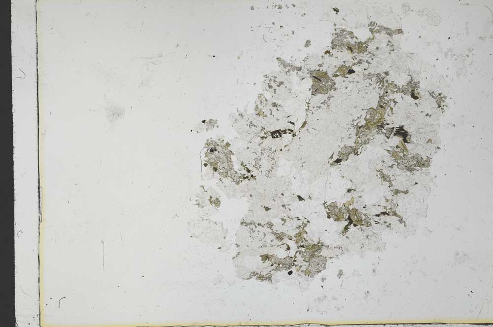 Plane Polarized, S31070