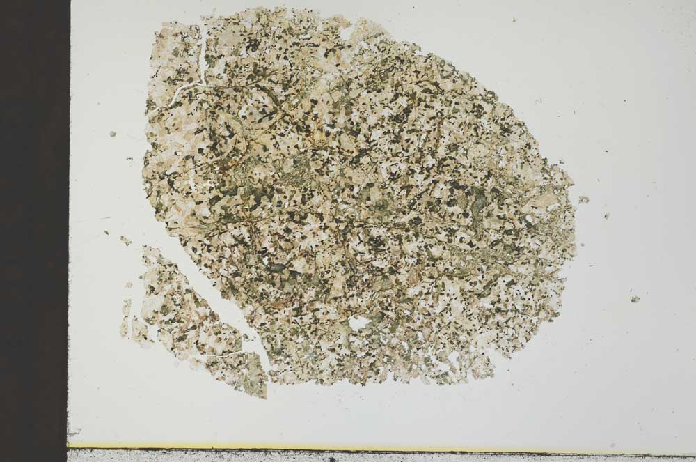 Plane Polarized, S31128