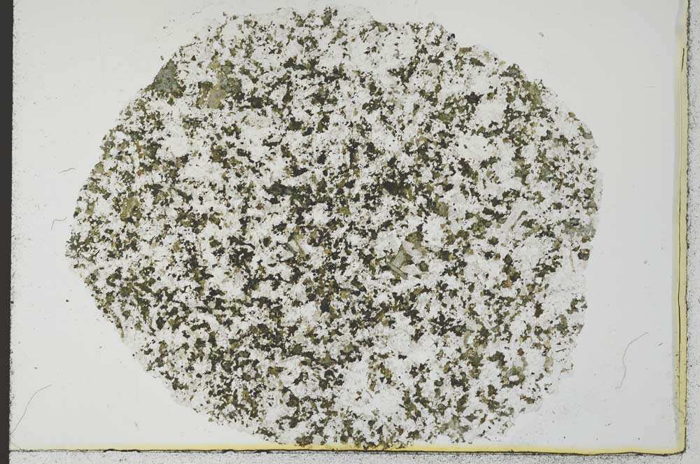 Plane Polarized, S31130