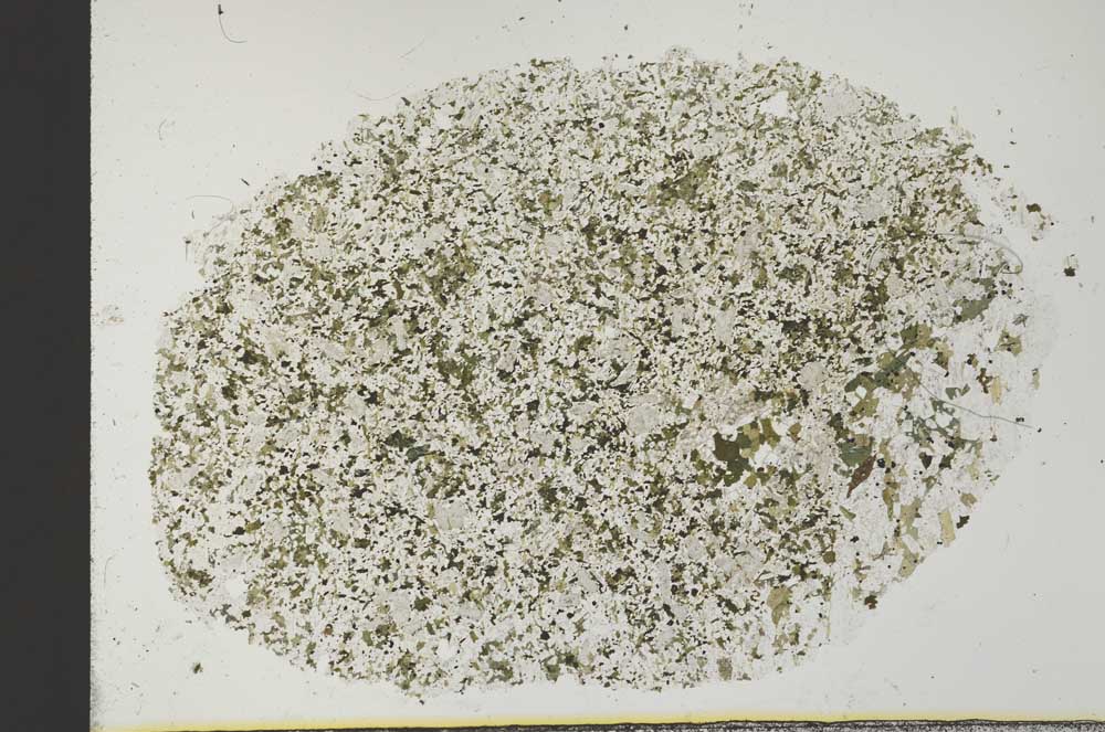 Plane Polarized, S31158