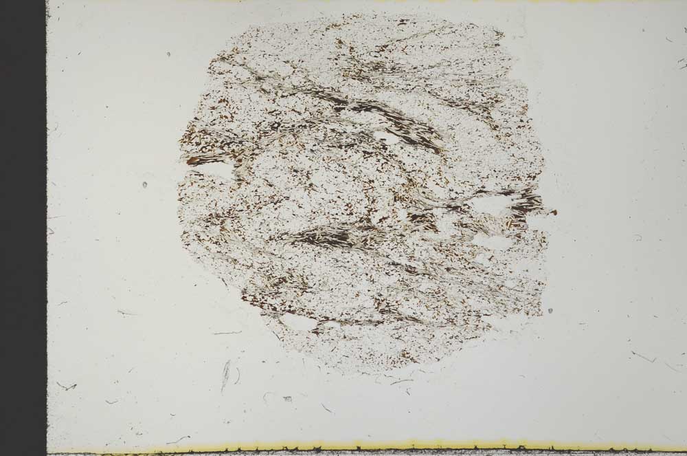 Plane Polarized, S31171