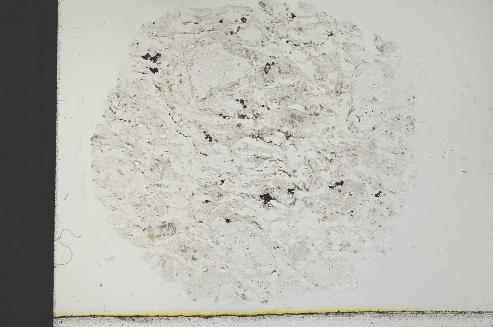 Plane Polarized, S31172