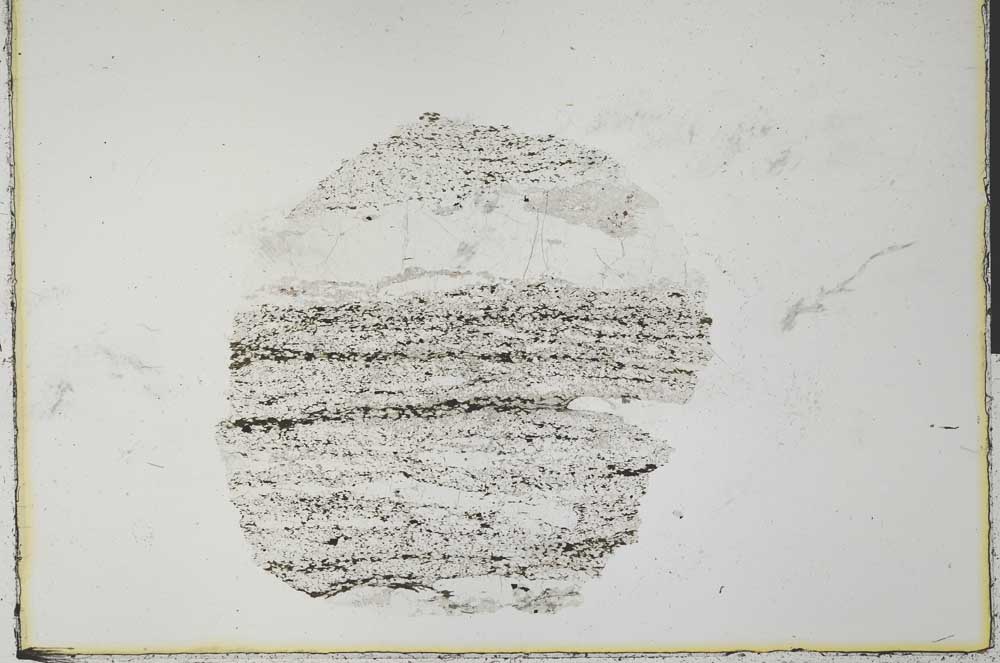 Plane Polarized, S31206