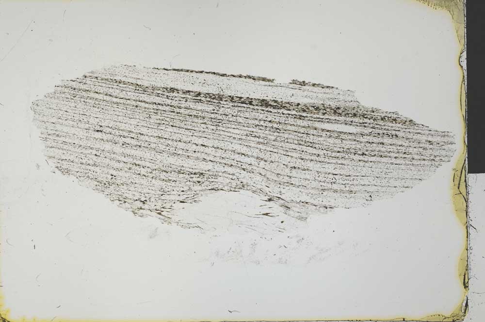 Plane Polarized, S31208