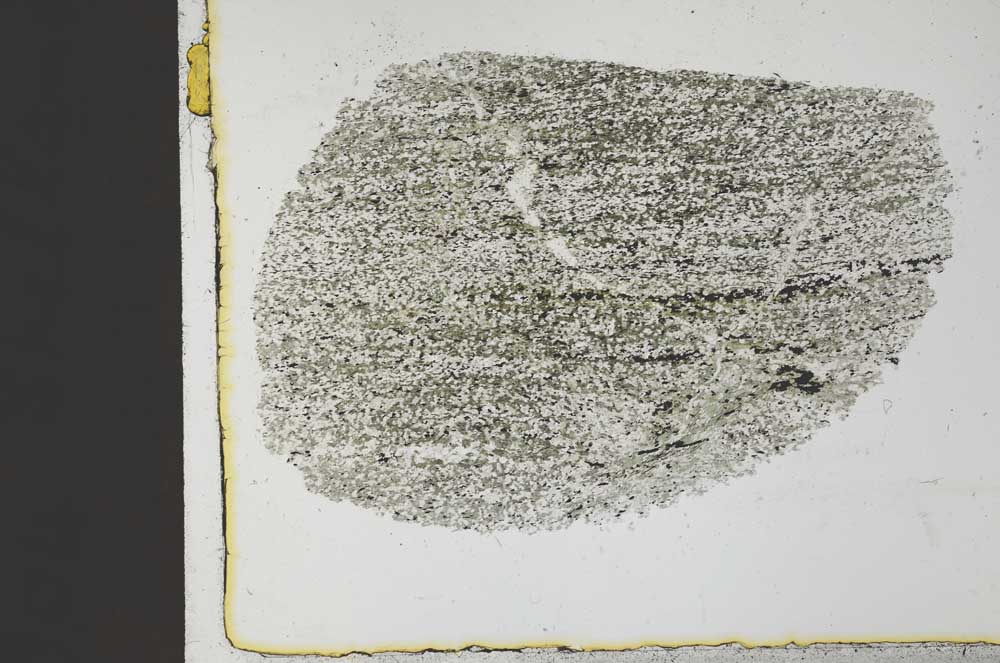 Plane Polarized, S31226