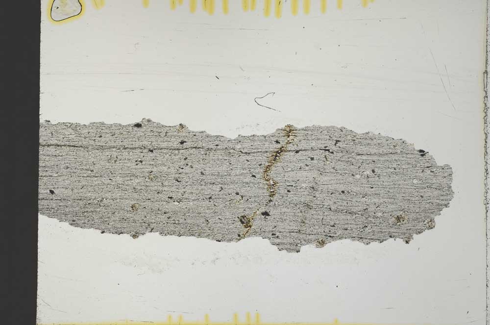 Plane Polarized, S32051