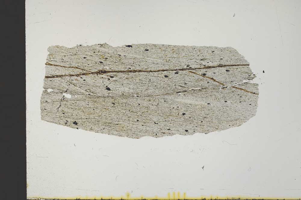 Plane Polarized, S32052