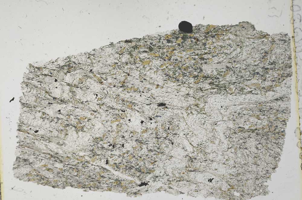 Plane Polarized, S32064/A