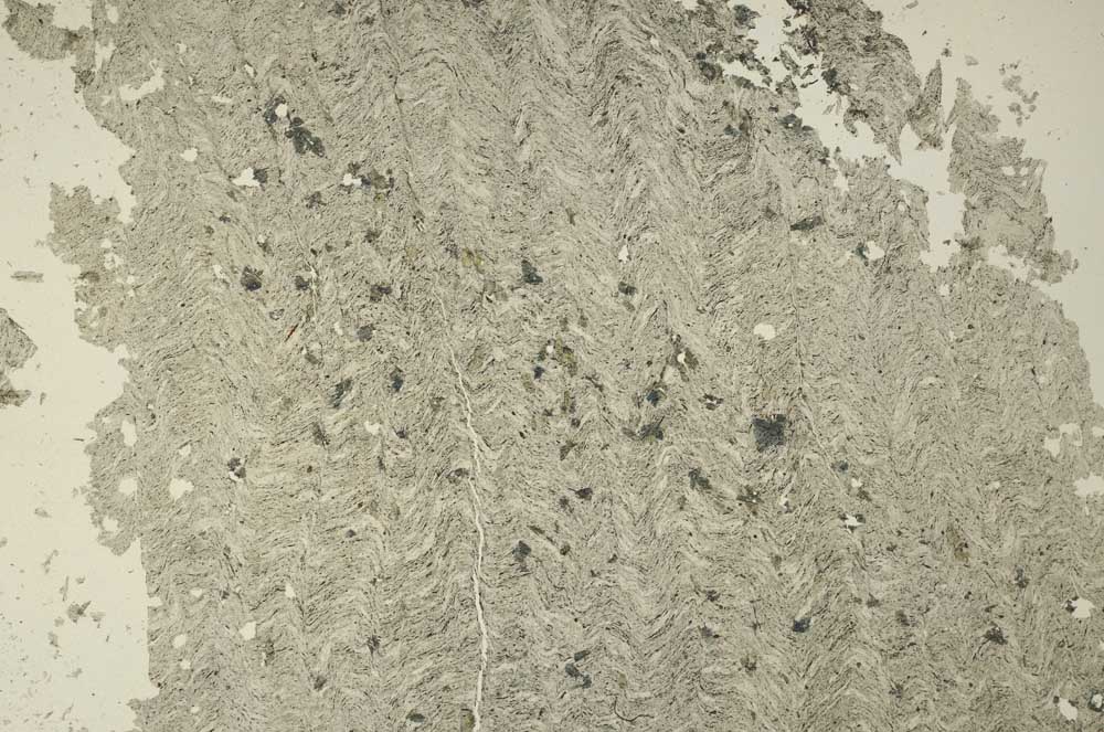 Plane Polarized, S40874/A