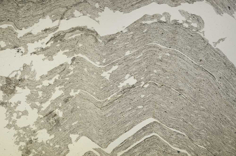 Plane Polarized, S40874/B