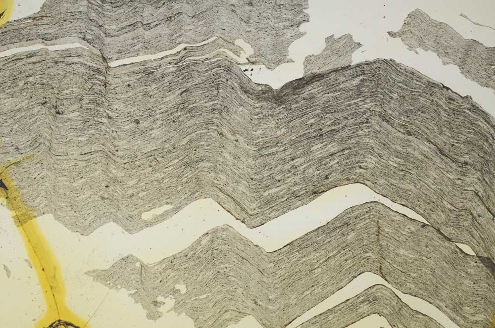 Plane Polarized, S40874/C