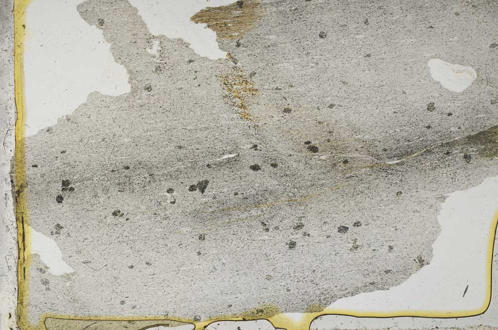 Plane Polarized, S40875