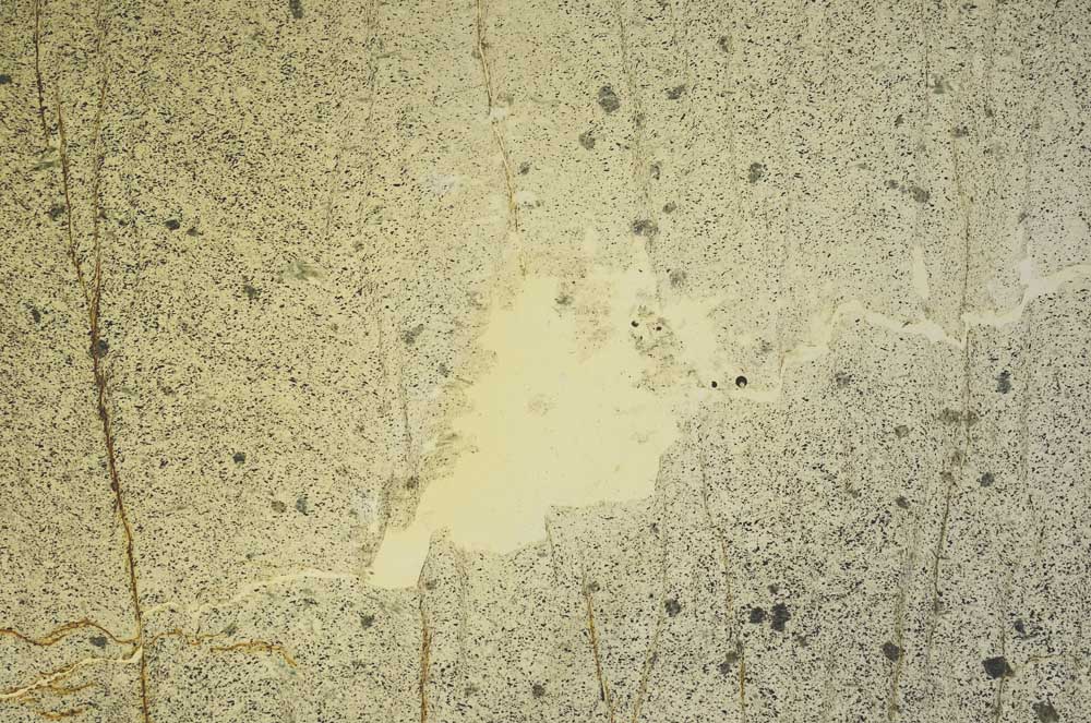 Plane Polarized, S40875/B