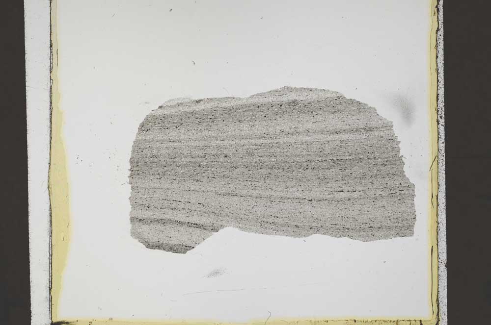 Plane Polarized, S43217