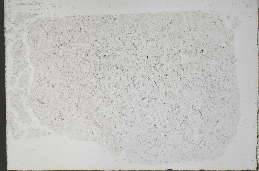 Plane Polarized, S51270