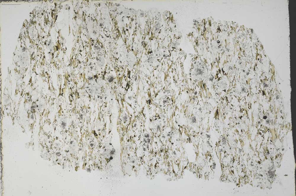 Plane Polarized, S51338