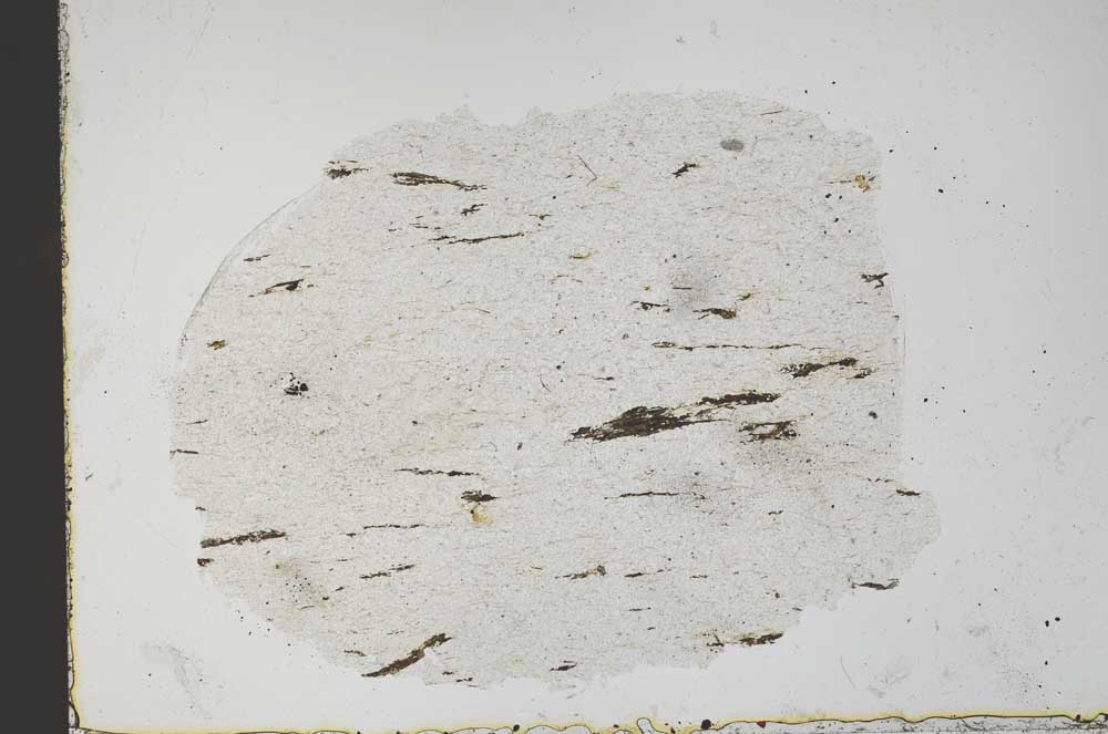 Plane Polarized, S51353