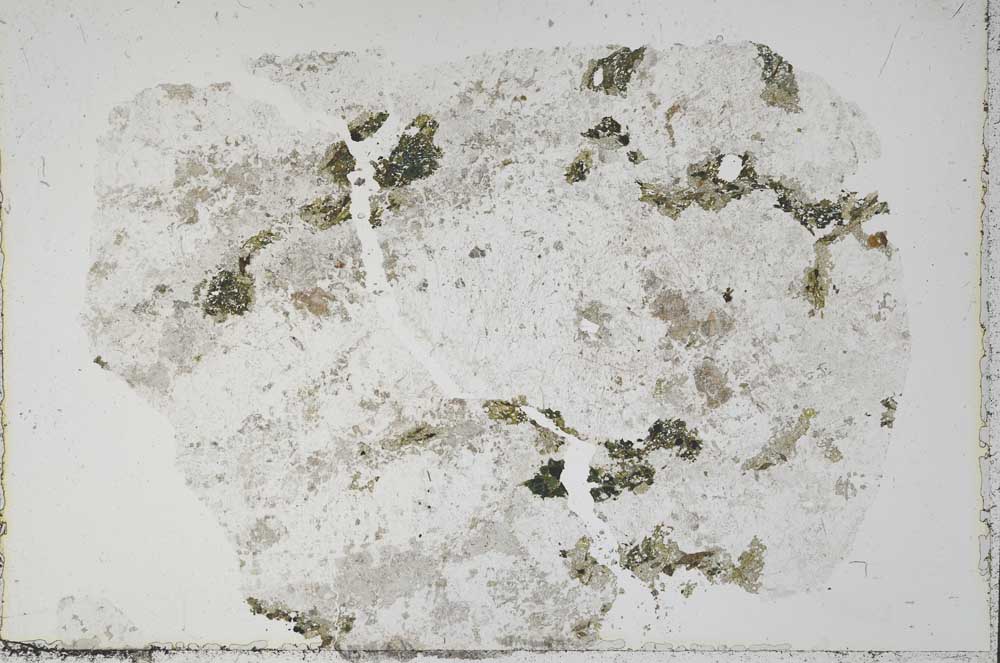 Plane Polarized, S51384