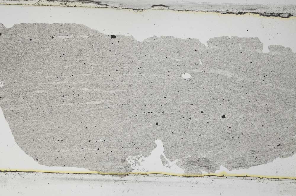 Plane Polarized, S51386