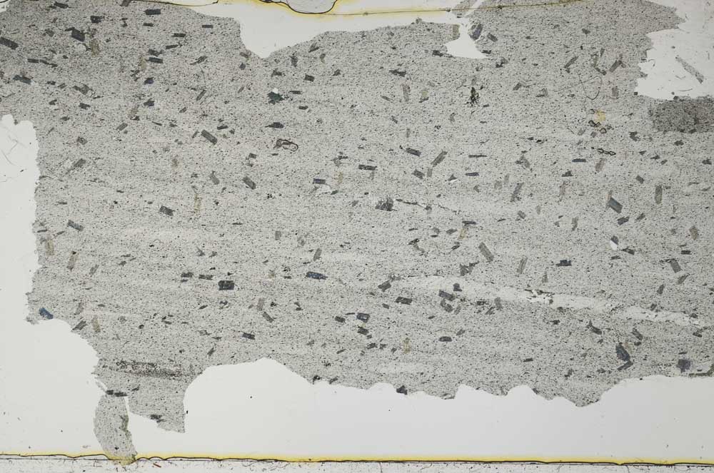 Plane Polarized, S55135