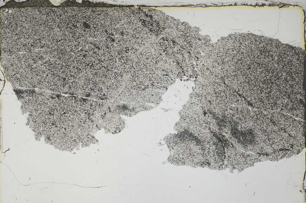 Plane Polarized, S55139