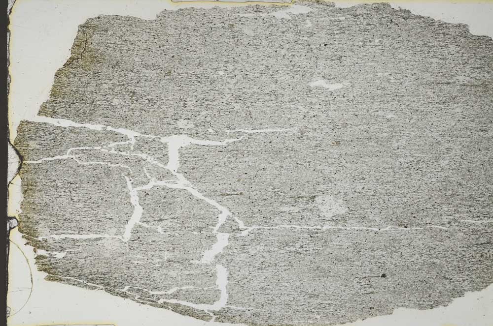 Plane Polarized, S55141