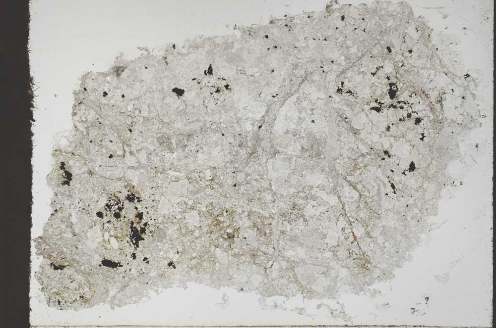 Plane Polarized, S55361