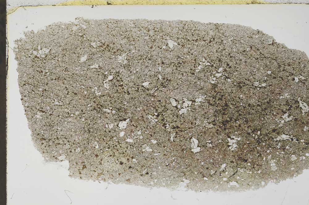 Plane Polarized, S55470