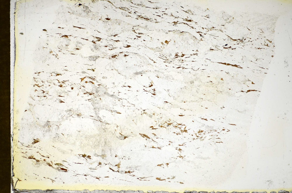 Plane Polarized, S85028