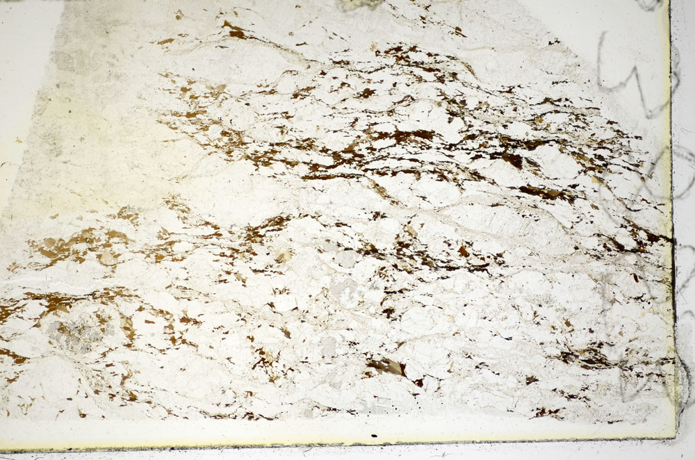 Plane Polarized, S85354