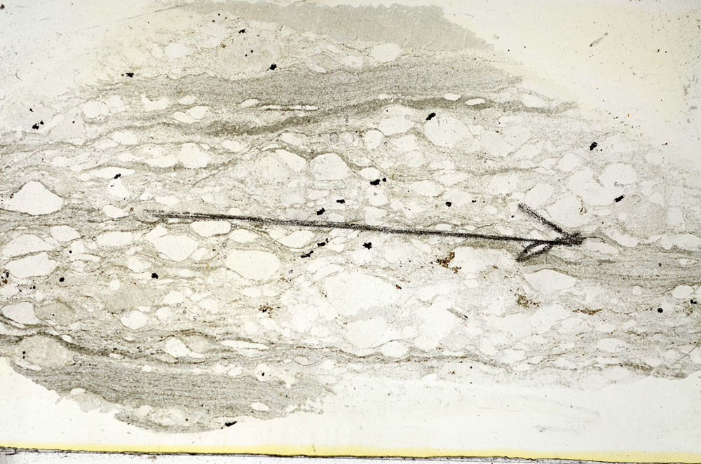 Plane Polarized, S87202