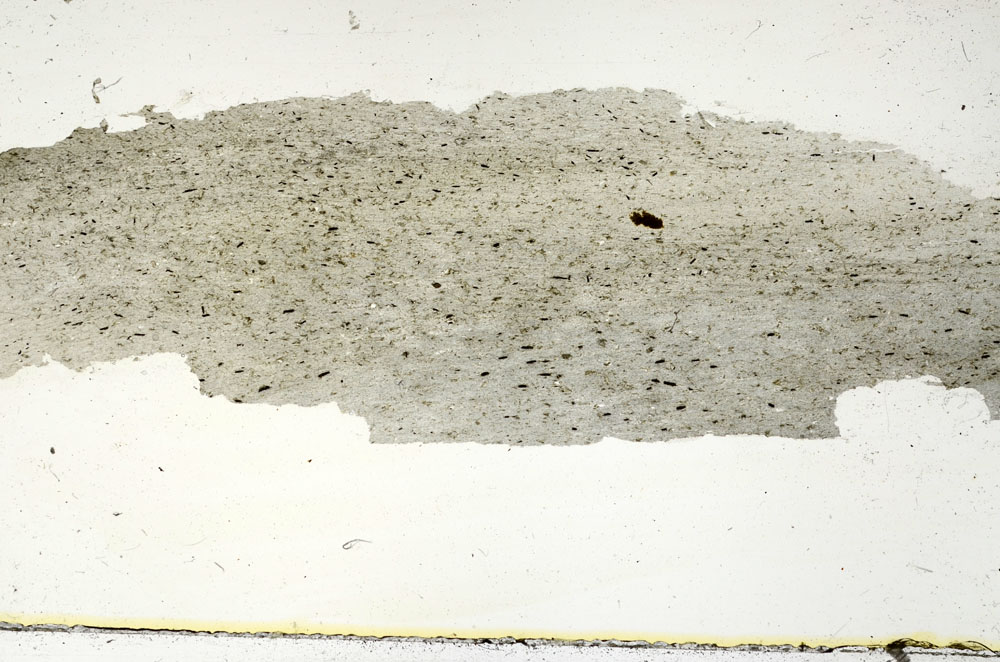 Plane Polarized, S87327