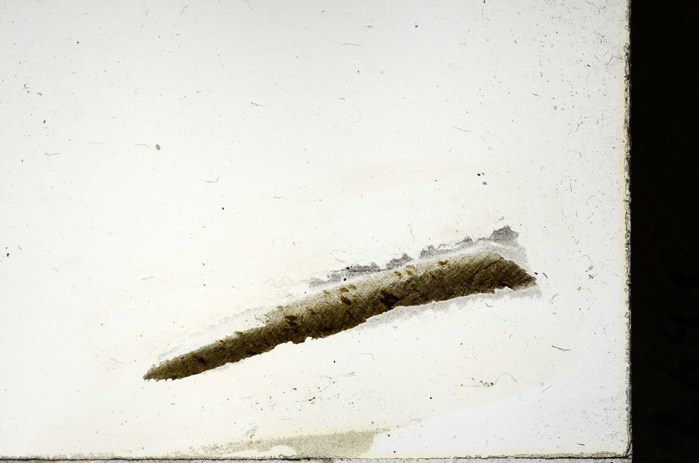 Plane Polarized, S87330