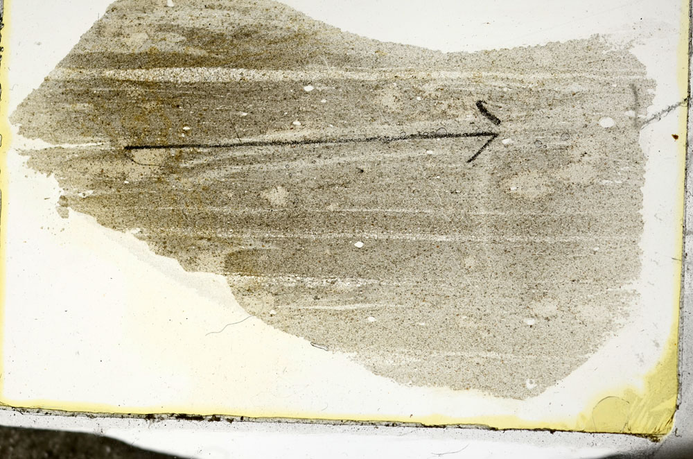 Plane Polarized, S87331