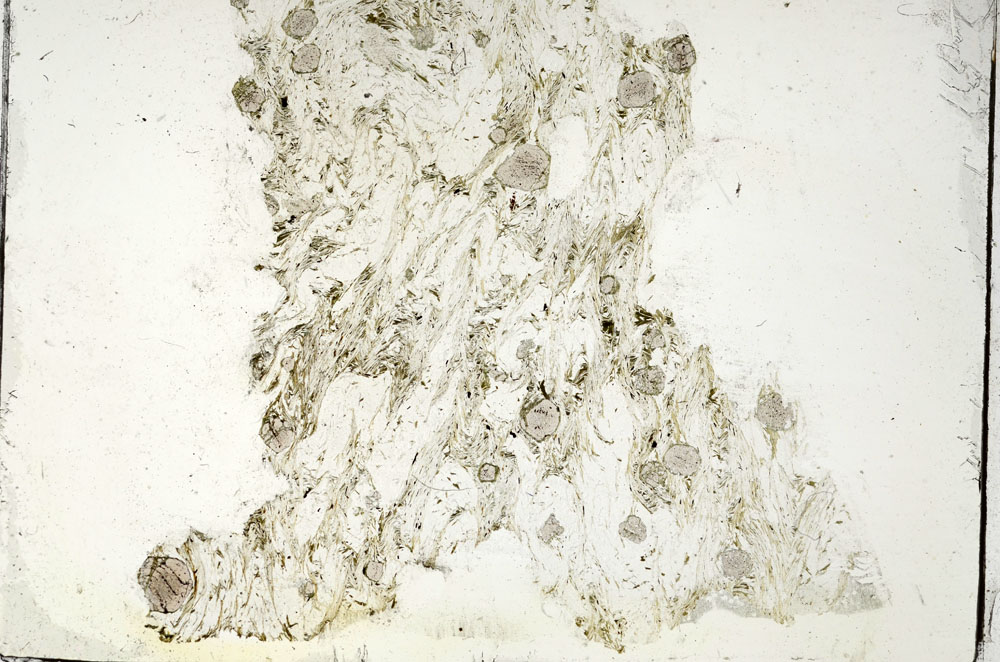 Plane Polarized, S87564