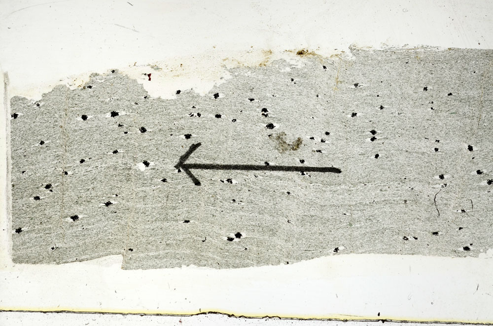 Plane Polarized, S88796